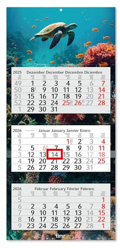 Timr calendario 3 meses 2026 - calendario de pared con deslizador - calendario 70 cm multilingüe D/GB/F/ES I motivo buceo submarino I tr332