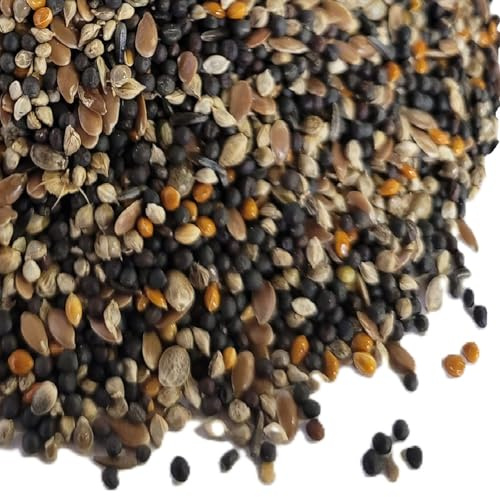 (2.5kg) Canary Conditioner Seed - Bird Food | By PawMits Pet Supplies