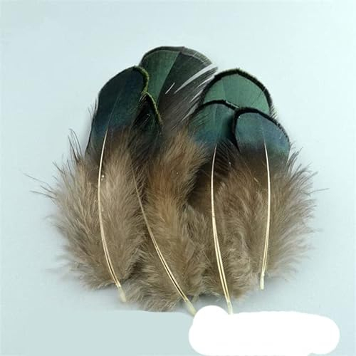 Natürliche Pfauenfedern, Fasanenfedern zum Basteln, Straußenfedern für die Schmuckherstellung, Karnevalsdekoration, 3–7 cm, 500 Stück