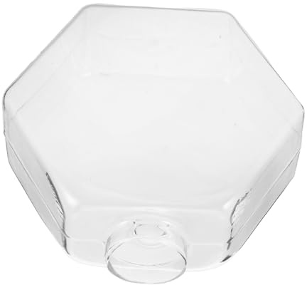 BESPORTBLE Vase Mural Verre Transparent pour Plantes Hydroponiques Pot Suspendu Hexagonal Décoration Murale Moderne pour Intérieur Bureau et Chambre