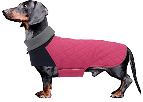 Geyecete- Abrigo Teckel,Chaqueta de Perro de Invierno,Abrigo Impermeable para Teckel Mini,Perro Salchicha Jersey con Agujero arnés,Térmico Pullover para Teckel Miniatura/Teckel estàndard-Rosa-S