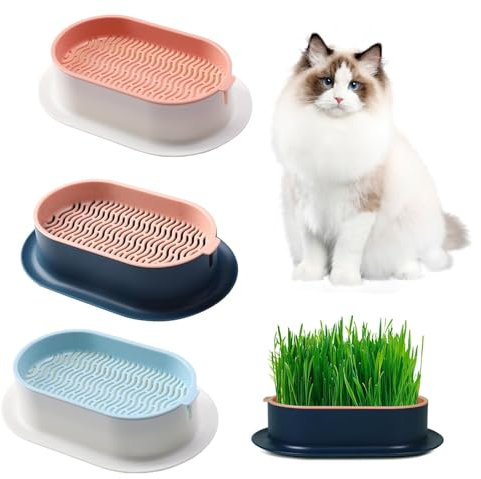 BCENG Lot de 3 pots de plantes pour herbe à chat, bac à herbe à chat, bac à herbe à chat, herbe à chat pour plantes d'intérieur pour planter de l'herbe à chat