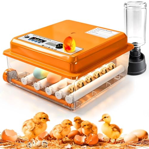 Incubadora Huevos Gallina, Incubadoras De Huevos Automaticas Con Control Temperatura & Volteador, Suministro De Agua | Ovoscopio, Para Gallina/Pato/Codorniz