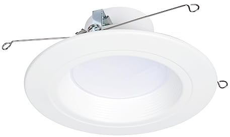 HALO RL 5/6 in LED Recessed Light Trim Selectable Color Temperature 2700K 3000K 3500K 4000K 5000K Dimmable Dim to Warm 600 Lumens Wet Location Indoor Outdoor Retrofit Downlight RL56069FSD2W1EWH