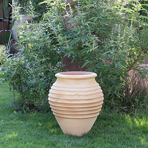Palatina Verkstad Terracotta Amphore Ficus – handgjord unik av Kreta, frostbeständig och vinterhård, bukig trädgårdsampfor och planteringskruka, 35–100 cm (60 cm)