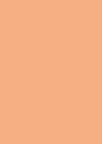 Irisette Interlock Spannbetttuch Neptun 0005 apricot 150 x 200 cm