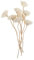 8Pcs Diffusor Sticks Holz Rose Rattan Ätherisches Öl Aroma Diffuser Sticks für Home Duft