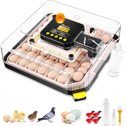 Sailnovo Incubadora de Huevos Automática 48 Huevos con Control Preciso Temperatura/Humedad, Volteador Automático de Huevos, Vista 360°, Ovoscopio Para Huevos, Para Gallina/Pato/Codorniz,Gris