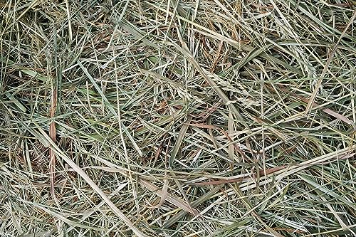 naturling Heu 70x50x30cm - ca 10kg Heuballen frisches Wiesenheu Sonnen getrocknet - Kaninchen Meerschweinchen Pferd & Garten