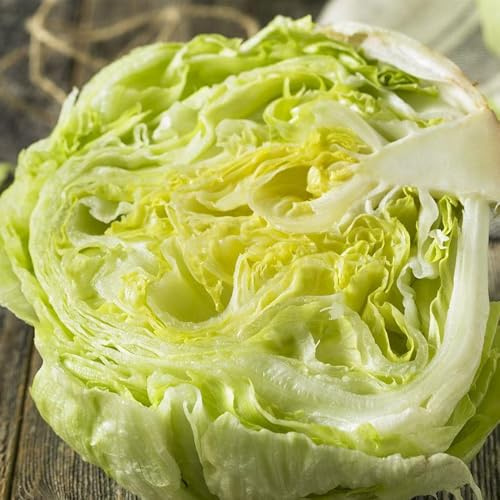 semillas de lechuga iceberg de jardín perennes resistentes de lechuga iceberg de resistentes para el jardín 800pcs