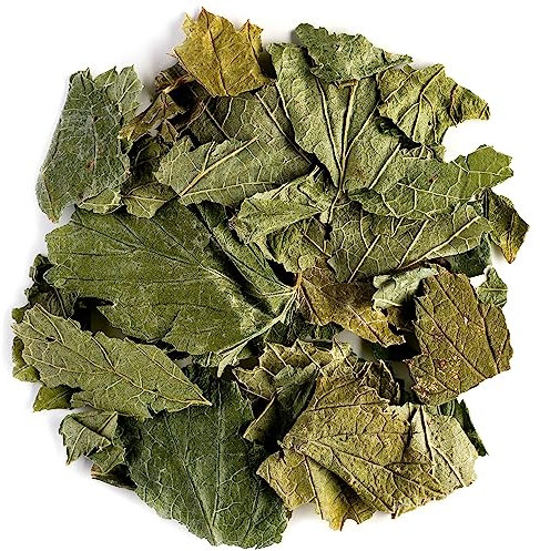 Black Currant Organic Leaf Tea - Great With Deserts - Ribes Nigrum - The Currant Bush Black Currant Leaves Tea Black Currant Leaf Of Black Currant Organic Blackcurrant Black Currant Tea