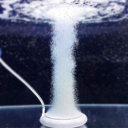 NEPTONION Luftausströmer mit Sauerstoff-Diffusor für Hydroponik (Luftpumpe und Rohr Nicht enthalten)