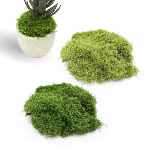 AolKee 200 g musgo artificial para plantas, musgo falso para artes y manualidades Decoración, verde falso para macetas de interior Home Kitchen Garden (100 g verde oscuro natural + 100 g verde claro)