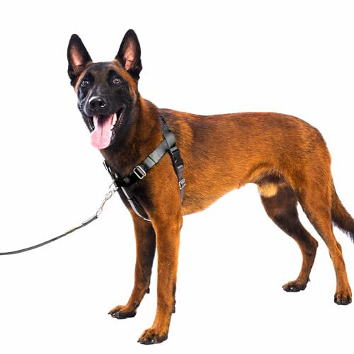 APDEXY Freedom No Pull Dog Harness for Large Dogs, Easy Walker, Anti Pull with Two Stainless D-Rings, Comfortable, Sewn-in Instructions Tags for Easy Use (Black, XL)