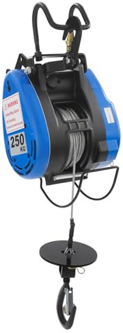 Treuil électrique 2 en 1 - 250 kg - Hauteur de levage 29 m - 19 m/min - Palan électrique avec interrupteur d'arrêt d'urgence - Crochet de sécurité - Avec corde en acier de 30 m - Pour usines