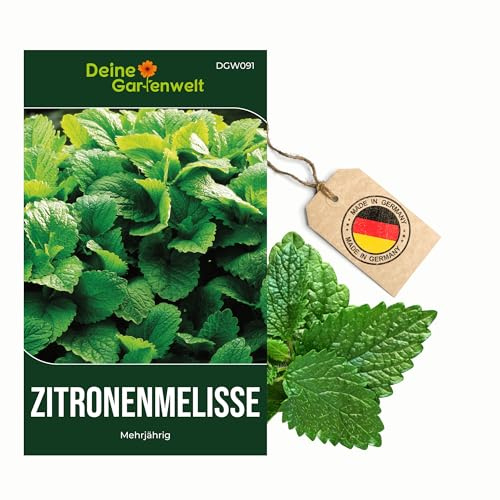 Zitronenmelisse Samen - Melissa officinalis - Zitronenmelissesamen - Kräutersamen - Saatgut für 150 Pflanzen – 5er Pack