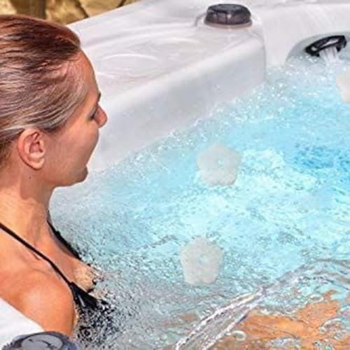 2 spugne assorbenti per olio di fiori per manutenzione piscine e spa