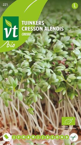 Cresson Cresso Bio Graines - Sèmez toute l’année à l’intérieur