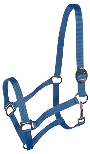 York Nylonhalfter Halfter Genickstück Verstellbar durch Schiebeschnalle Harmony Pferdehalfter (Cob, blau)