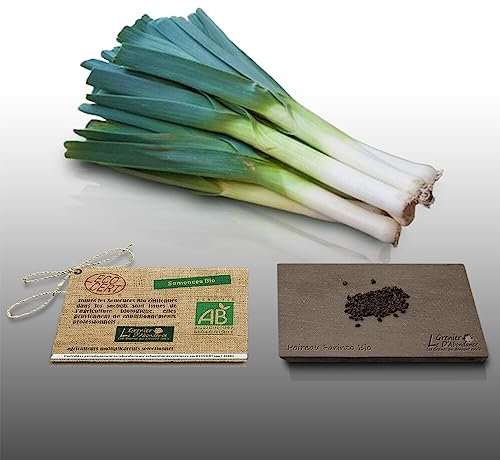 100 graines Bio à semer - Le Grenier d'Abondance - POIREAU Farinto - Certifié AB - Allium Porrum