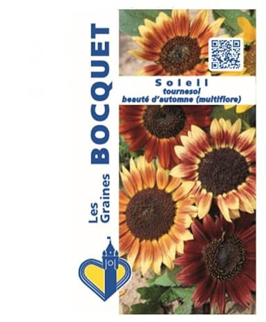 Sachet de graines de Soleil tournesol multiflore Beauté d'Automne - 3 g - LES GRAINES BOCQUET