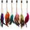 Binnan 6 Piezas Pluma Accesorios para Cabello con Pinzas de Cabello, Bohemio e Indio Tocado, Tocados de Disfraces Tribal, Tocado de Plumas para Halloween Tema de Fiesta