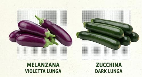 Set Semi Orto Melanzana Violetta Lunga + Zucchina Verde | 2 Bustine da 6g | Semi per Orto e Giardino – Alta Germinazione | Ideali per Coltivazione in Vaso, Balcone e Terra
