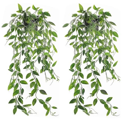Plantes Artificielles Interieur avec Pots, 2 Plante Artificielle Tombante en Pot, Lierre Artificielle Fausse Plante Deco, Faux Plante, Plantes Suspendues Artificielles pour Balcon, Cuisine, Bureau