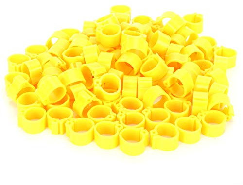 Rcniso 200Pcs 10mm Pigeons Clamp/Holder Ring Pigeons No Word Leg Ring Poultry Foot Clamp/Holder Identification Birds Supplies (Yellow)