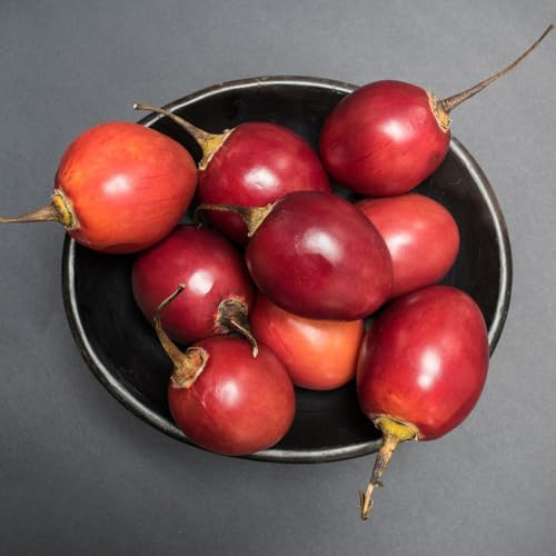 semillas de tomate de tamarillo - Decoraciones jardín exteriores 100pcs