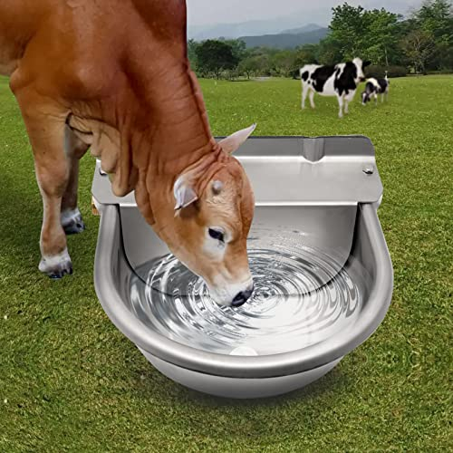 Abreuvoir Chevaux en Acier Inoxydable avec Vanne à Flotteur en Laiton RéGlable de 1/2 et Trous de Vidange pour Abreuvoirs pour Chevaux, Vaches, Cochons, ChèVres, Moutons Et Chiens