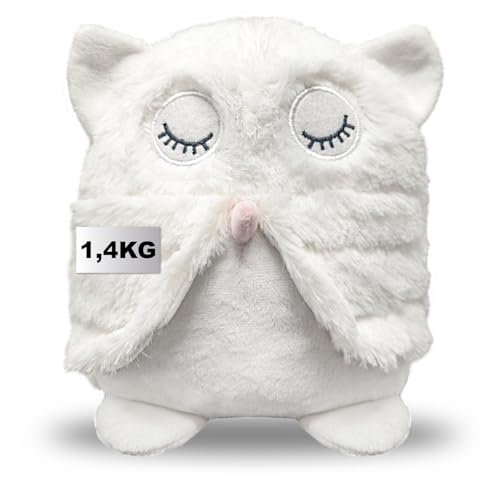 COM-FOUR® Doorstop - Heavy Door Holder in a Cute owl Design - Functional Home Accessory - Window Stopper Ideal for drafts - Brake Block 1.4 kg for Windows and Doors (Owl)
