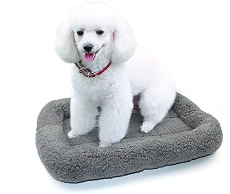 Enjoying Katzenbett Quadrat 56 X 41 cm, Wärme Katzenschlafplatz für Kleinen Hunde Katze Hasen, Sanft Katzenmatte mit Kopfkissen, Katzenkissen für Käfig Transportbox, Anti-Rutsch, Waschbar