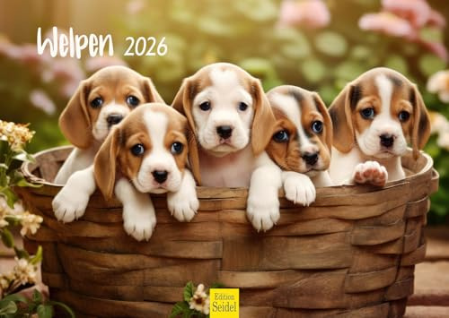 Edition Seidel Calendario premium para cachorros 2026, formato DIN A3, calendario de pared, calendario para perros, cachorros, animales, niños, raza de perro, mascota, lindo