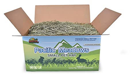 Animal Adventure Vet Pacific Meadows Small Pet Quality 2nd Cut Timothy Hay