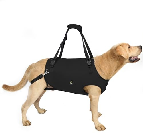 Coodeo Imbracatura per Cani, Sling di Supporto e Riabilitazione Regolabile con Cinghie Padded e Traspiranti per Cani Anziani, Disabili e con Infortuni Articolari. (Nero, XL)