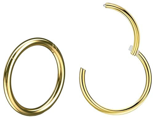 MQLSAERI 2 Stück 20G 0.8mm Nasenpiercing Titan Nasenring Nasen Helix Piercing Hoop Nase Nostril Stecker Nasenstecker Daith Earring Frauen Männer Schmuck Rook Tragus Conch 8 10mm