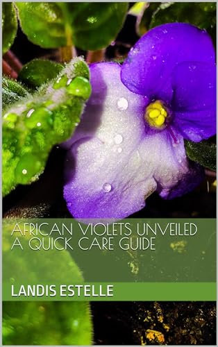 African Violets Unveiled A quick care guide