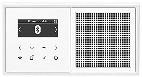 Jung Smart Radio DAB Bluetooth Komplett-Set Serie LS Weiß mit Lautsprecher DABLS1BTWW und 2-Fach Rahmen LS982WW