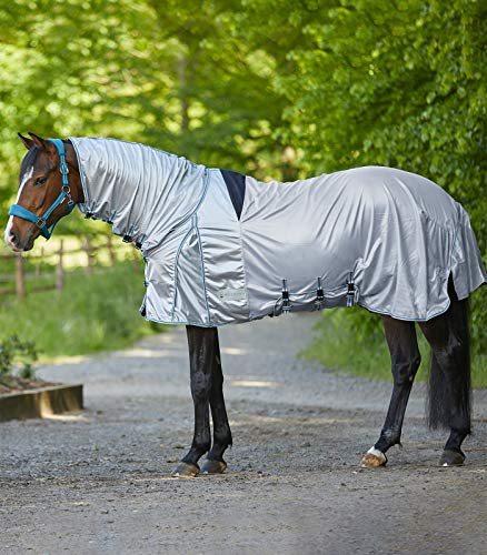 Waldhausen GmbH & CO KG ECZEMA fly rug