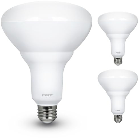 Feit Electric LED BR40 Bulbs, Dimmable, 65W Equivalent, 10 Year Life, 850 Lumens, E26 Base, 2700k Soft White, Flood Lights, Recessed Can Light Bulbs, Damp Rated, UL Listed, 2 Pack, BR40DM/10KLED/2