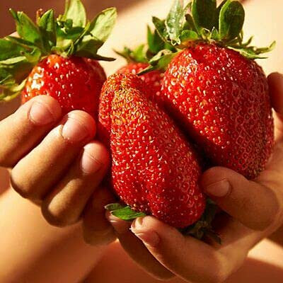 Aamish 5 semillas de fruta de fresa roja gigante de Japón