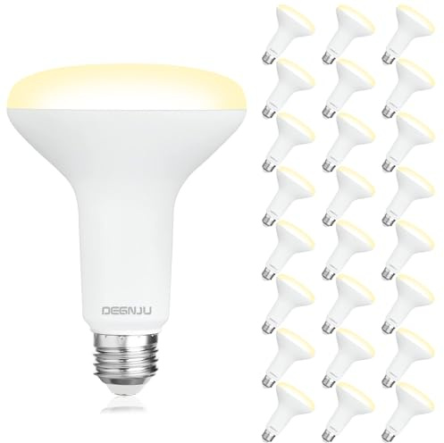 DEGNJU 24 Pack Indoor Flood Light Bulbs, BR30 LED Bulb 7W Equivalent 65W, Dimmable Recessed Light Bulbs, 650LM 2700K Soft White 15000 Lifetime LED Can Light Bulb, Interior Home E26 Base