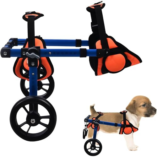 Fauteuil roulant pour chiens de petite et moyenne taille - Aide à la mobilité réglable pour la rééducation de la patte arrière - Trottinette pour chiens et chats handicapés