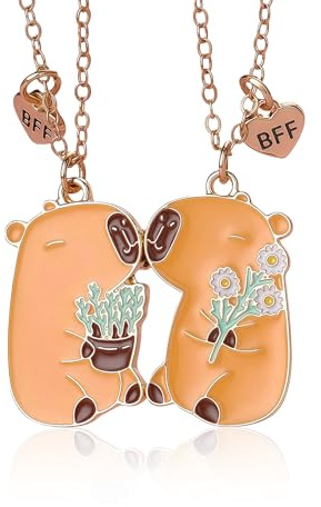 FloralGrace 2 Pezzi Collana dell'amicizia Capibara, Collane dell'amicizia Capybara per 2 Ragazze, Collana Migliori Amiche BFF Cuore Mani Collane Abbinate, Pendente Capybara（D）
