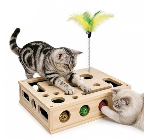 Giocattolo Interattivo per Gatti Interni, 2 in 1 Gioco Interattivo Gatto