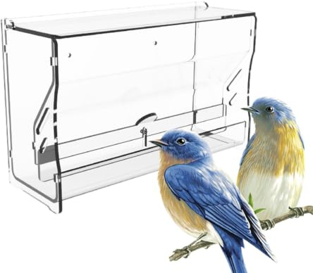 Alimentador de agua para codornices,Alimentador de codornices Taza de