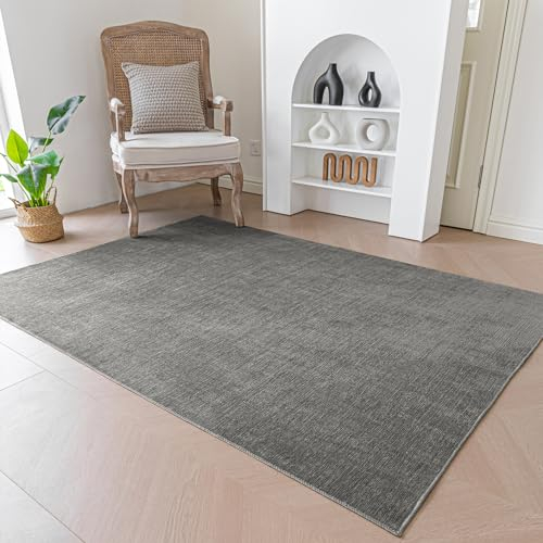 Evitany Teppich Klein 60x90cm,Kurzflor Teppich für Schlafzimmer，Wohnzimmer,Kinderzimmer Zimmer,Anti-Rutsch Unterseite,Waschbare Teppiche,Weich & Rechteckig & Kuscheliger,Dunkelgrau