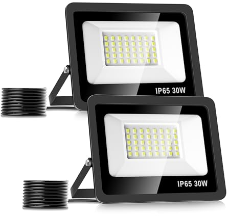 Realky 30W LED Strahler Außen [2 Stück], 6500K 3000LM LED Fluter 40LEDs Außenstrahler IP65 Wasserfest Scheiwerfer Aussenstrahler für Garten, Hinterhof, Auffahrt, Türen, Garage, Flur