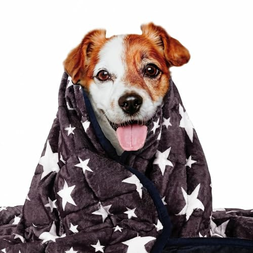 LaSyL Weighted Blanket for Pets | Thunder Blanket for Dogs Anxiety | Premium Soft Minky | Relaxation & Calming & Anti Anxiety | Used in Car, Bed, Couch | Blue Grey Star, Washable Large (40x47)